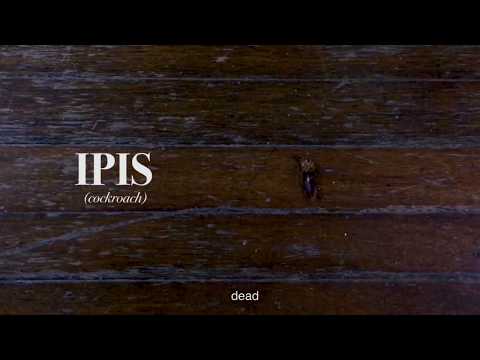 IPIS II