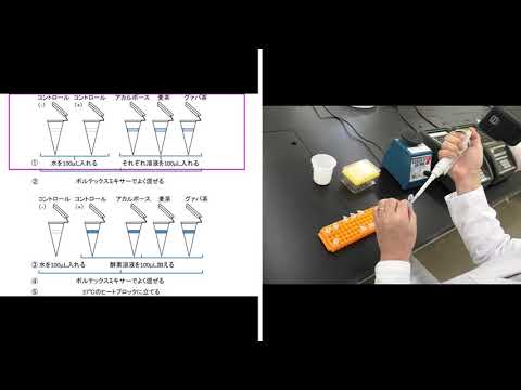 表現文化学科 【体験入学＆研究室公開】b 酵素の働きを知る～生体内の機能調節に関わる酵素の実験に挑戦しよう～