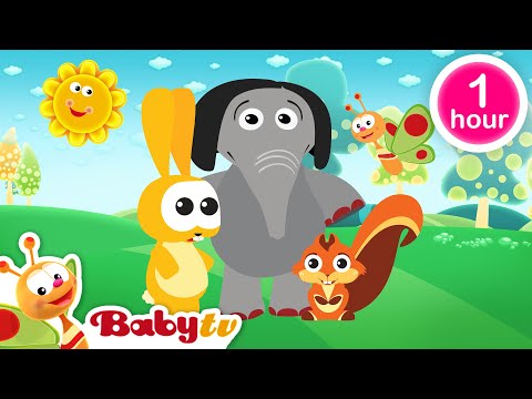 Fußball spielen ⚽​ + weitere BabyTV-Klassiker 📺 | Vollständige Folgen @BabyTVDE