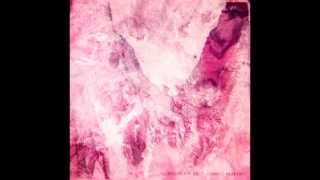 Backwords - Porcelain Raft