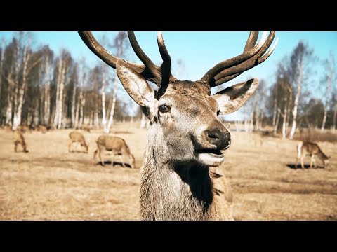 Наука против веры | ДЕТАЛИ