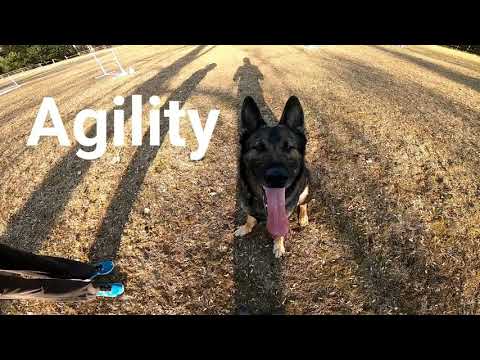 Agility!