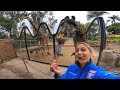 Feeding Giraffes At The San Diego Zoo