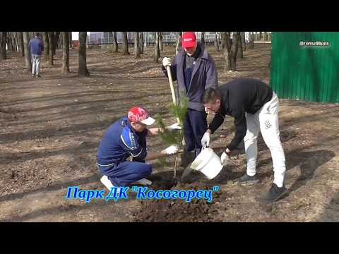 Спиртное при грыже межпозвонковой грыжи Схема лечения артрита коленного сустава