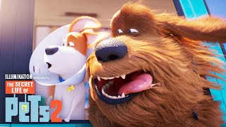 The Secret Life of Pets 2  Max and Duke Go on a Ro