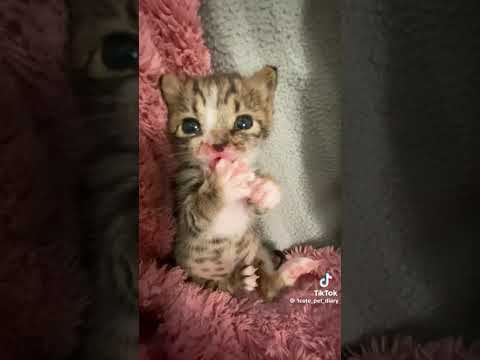 On this Day • October 17th • 2018-24