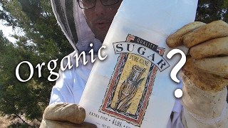 What Kind of SUGAR for BEES?