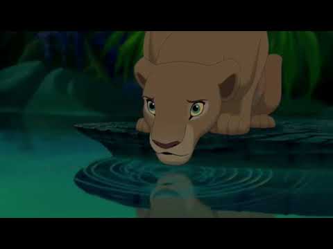 Il re leone - l'amore è nell'aria stasera