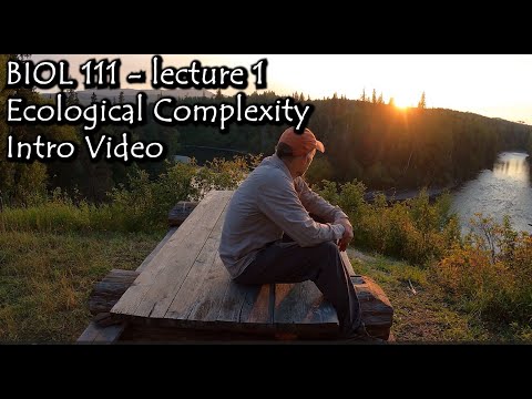 Unraveling Complexity in Ecology | Vibepedia