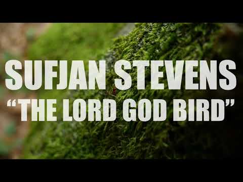 Lord God Bird video