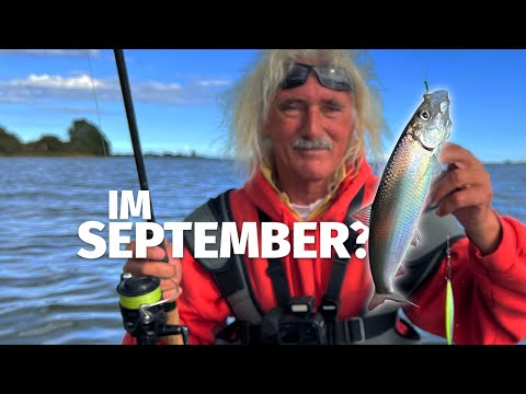 NOW ON HERRING? JÖRG OVENS TRICKS in KAPPELN on the SCHLEI - 'Catch something' (4)