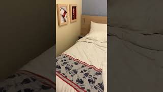 Cruising with Kids—Carnival Celebration Family Harbor 3-Person Interior Cabin