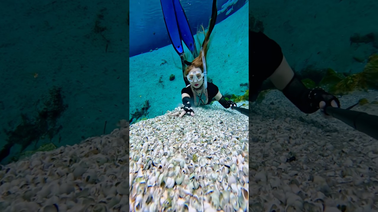 Mountain of shells 🐚 #underwater #freediver #freediving #springs #goth