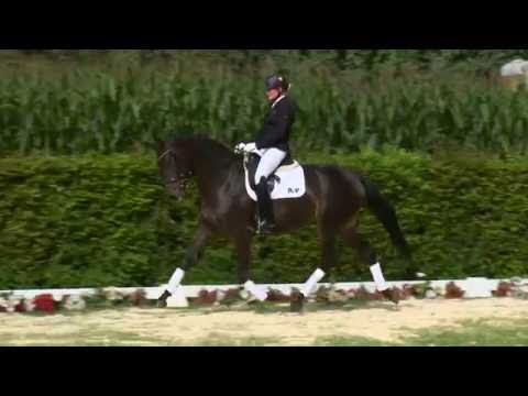 32 Fräulein Latino  Stute v. Fürstenball - Torero