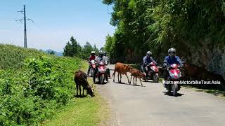 preview picture of video 'North Vietnam Scooter Tour '