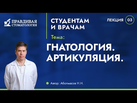 Гнатология. Артикуляция