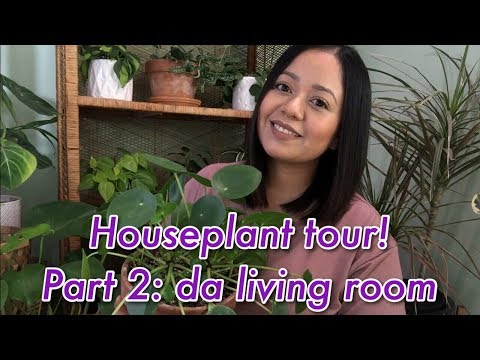 Houseplant Tour! | Part 2: Da living room (100+ plants)