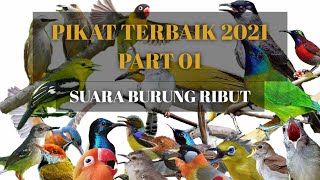 Download lagu SUARA BURUNG RIBUT UNTUK PIKAT 2021 TERBUKTI ANTI ZONK PART 1 mp3 Download lagu SUARA BURUNG RIBUT UNTUK PIKAT 2021 TERBUKTI ANTI ZONK PART 1 mp3