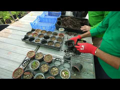 Thumbnail for AmbjentMalta; Ambjent, Baħar, Edukazzjoni