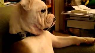 Iron Reagan "Bored to Death"