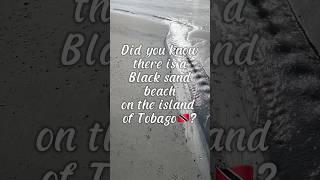 Did you know there is a black sand beach on the island of Tobago? #Shorts #tobago