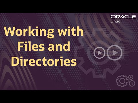 處理文件和目錄 (Working with Files and Directories)