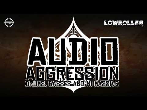 Free Download Lowroller: Audio Agression MULTiFORMAT