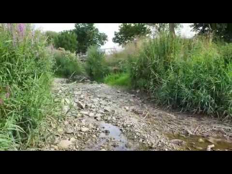 Bach Runz zwischen Hügelheim und Zienken stark beschädigt Teil1