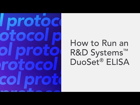 How to Run an R&D Systems DuoSet ELISA