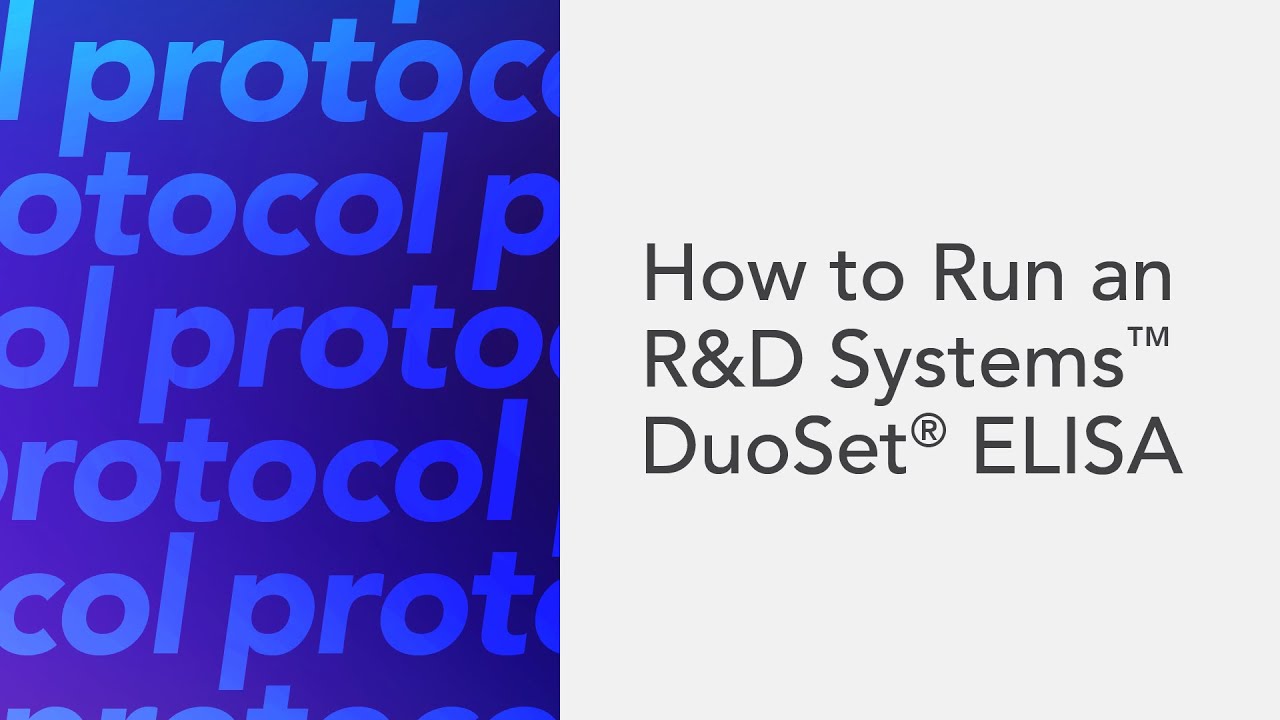 How to Run an R&D Systems DuoSet ELISA
