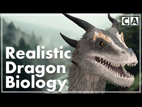 image-Is a dragon a real animal?