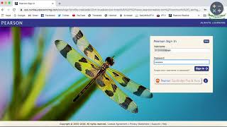 How to open your account on PearsonRealize.com