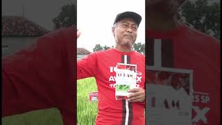 Download lagu Yuk ketahui tentang 𝗧𝗢𝗥𝗔𝗠 𝟮𝟱 𝗦𝗣 dari ahlinya! mp3 Download lagu Yuk ketahui tentang 𝗧𝗢𝗥𝗔𝗠 𝟮𝟱 𝗦𝗣 dari ahlinya! mp3