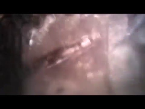 Inside the Dishwasher while rinsing.