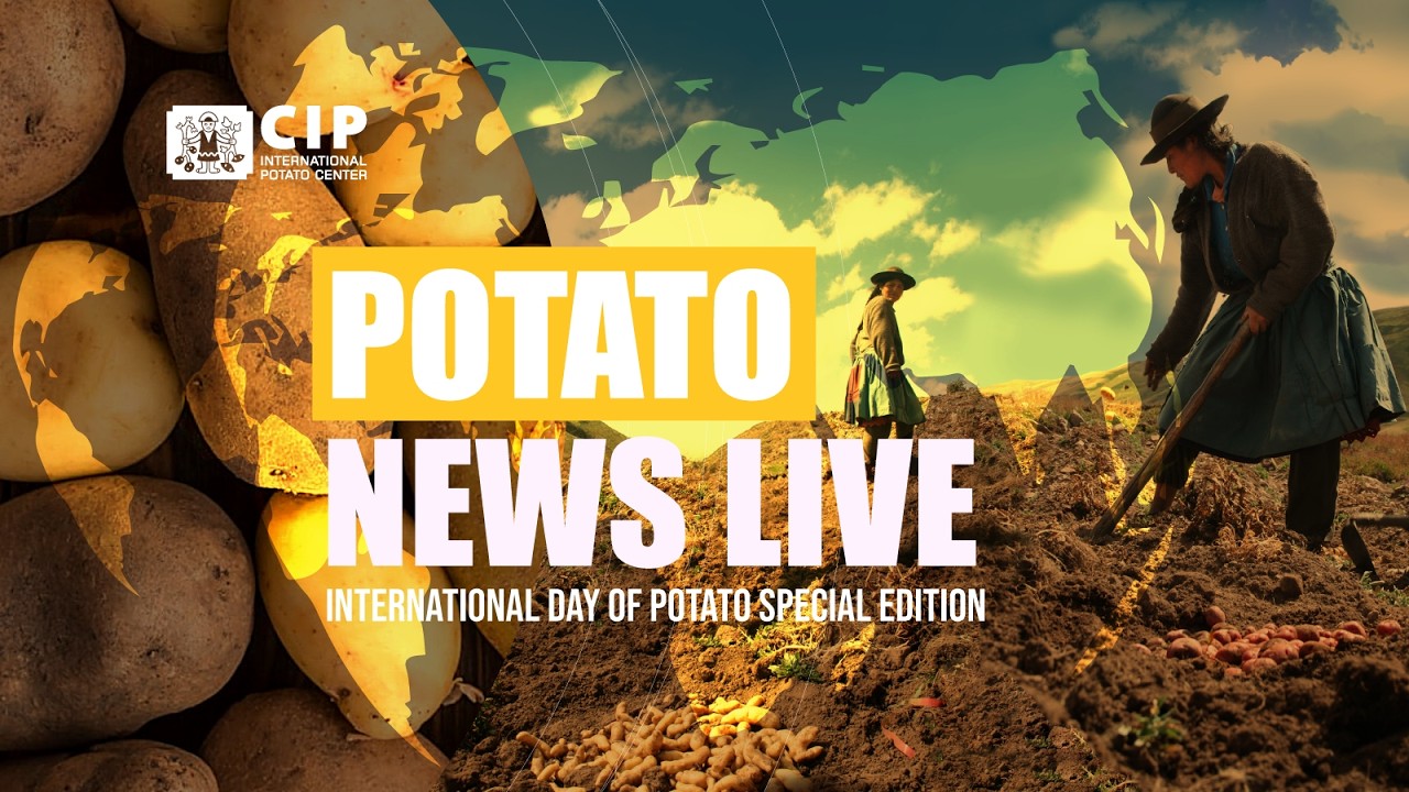 Potato News Live | Special Edition