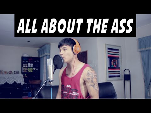 ALL ABOUT THE ASS (SHAWN LEE BEATBOX REMIX)
