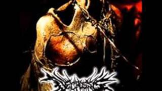 NECROSSIS-destruction with vomit