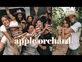 Vlog NY Apple Orchard Too Many Ciders Later