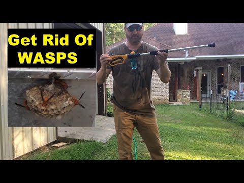 YouTube video about: How to get rid of wasp nest in car mirror?