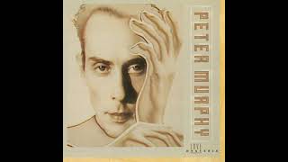 My Last Two Weeks - PETER MURPHY