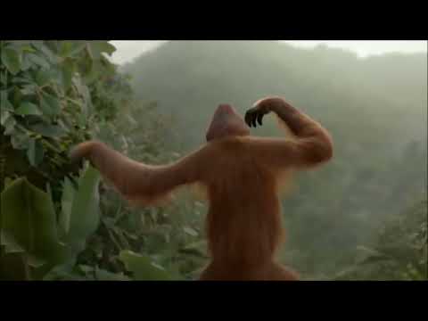 zikutumule _Malawi music