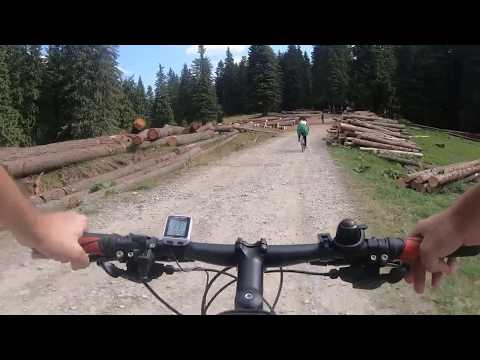 Traseu Bicicleta Azuga-Vila Trifoiul-Cabana Susai-Azuga