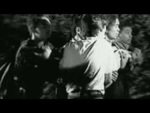 Rosemary - Punk Rock Show