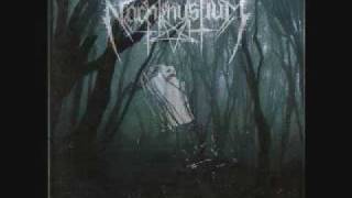 Nachtmystium- Eulogy IV