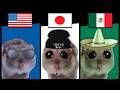 Sad Hamster Violin: Different Countries