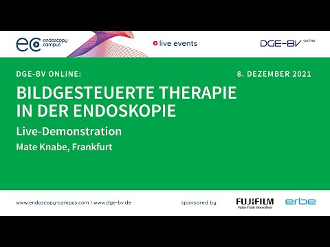 DGE-BV online Symposium - 08.12.2021: Live-Demo M. Knabe