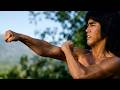 Eagle Claws Of Revenge Best Chinese Action Kung Fu Movies In English