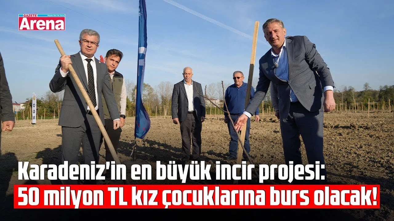 Karadeniz'in en büyük incir projesi
