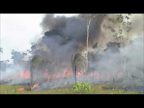 Olesya Bi - Change (Music video by Chartusic) - Fridaysforfuture