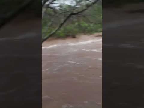 Chuva provoca cheia em rio na zona rural de Olivedos PB